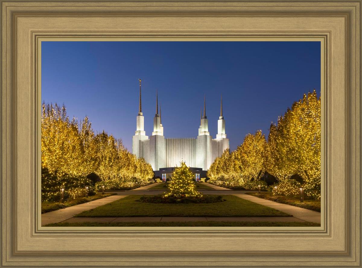 Washington DC Golden Christmas