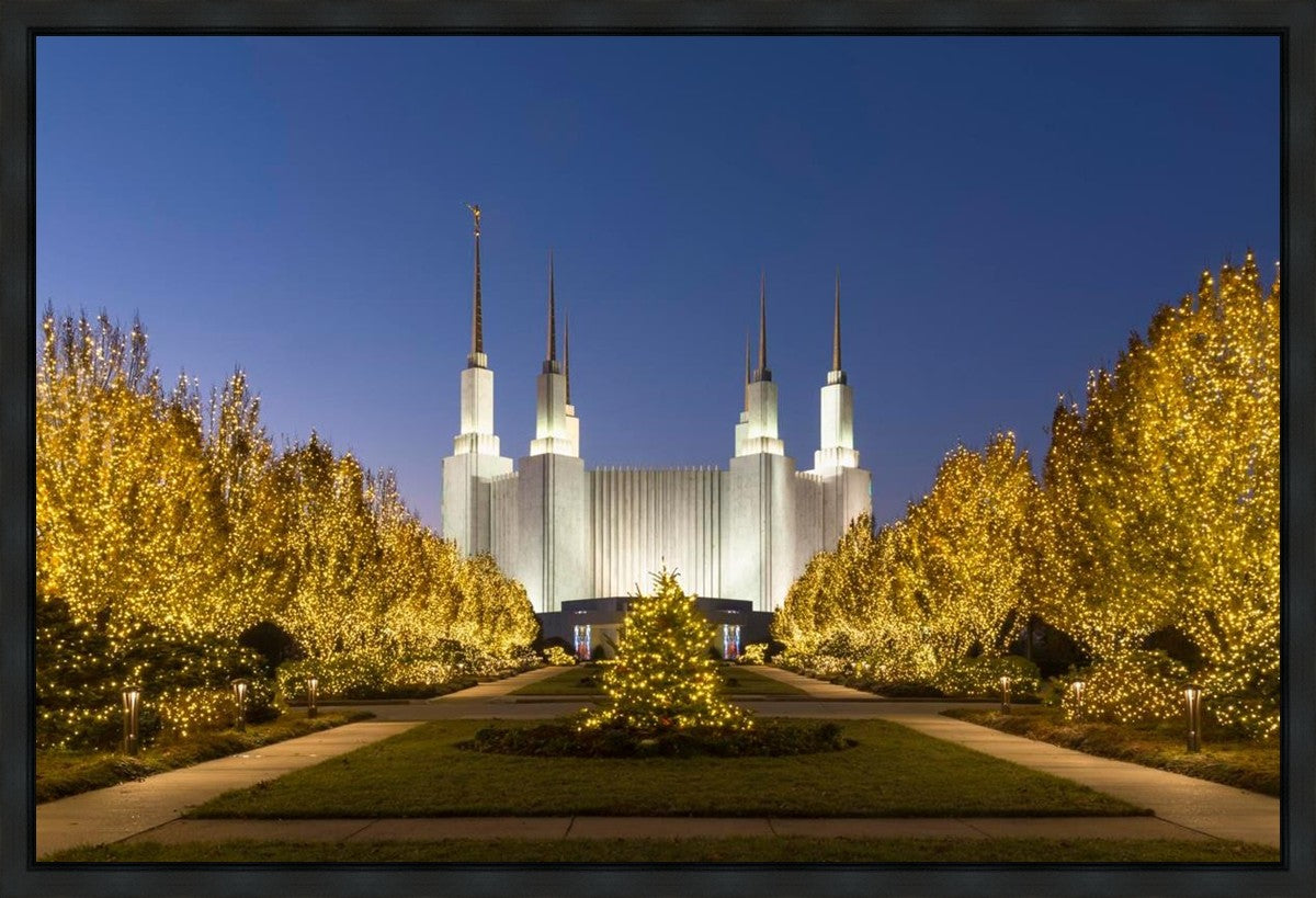 Washington DC Golden Christmas Gallery Wrap
