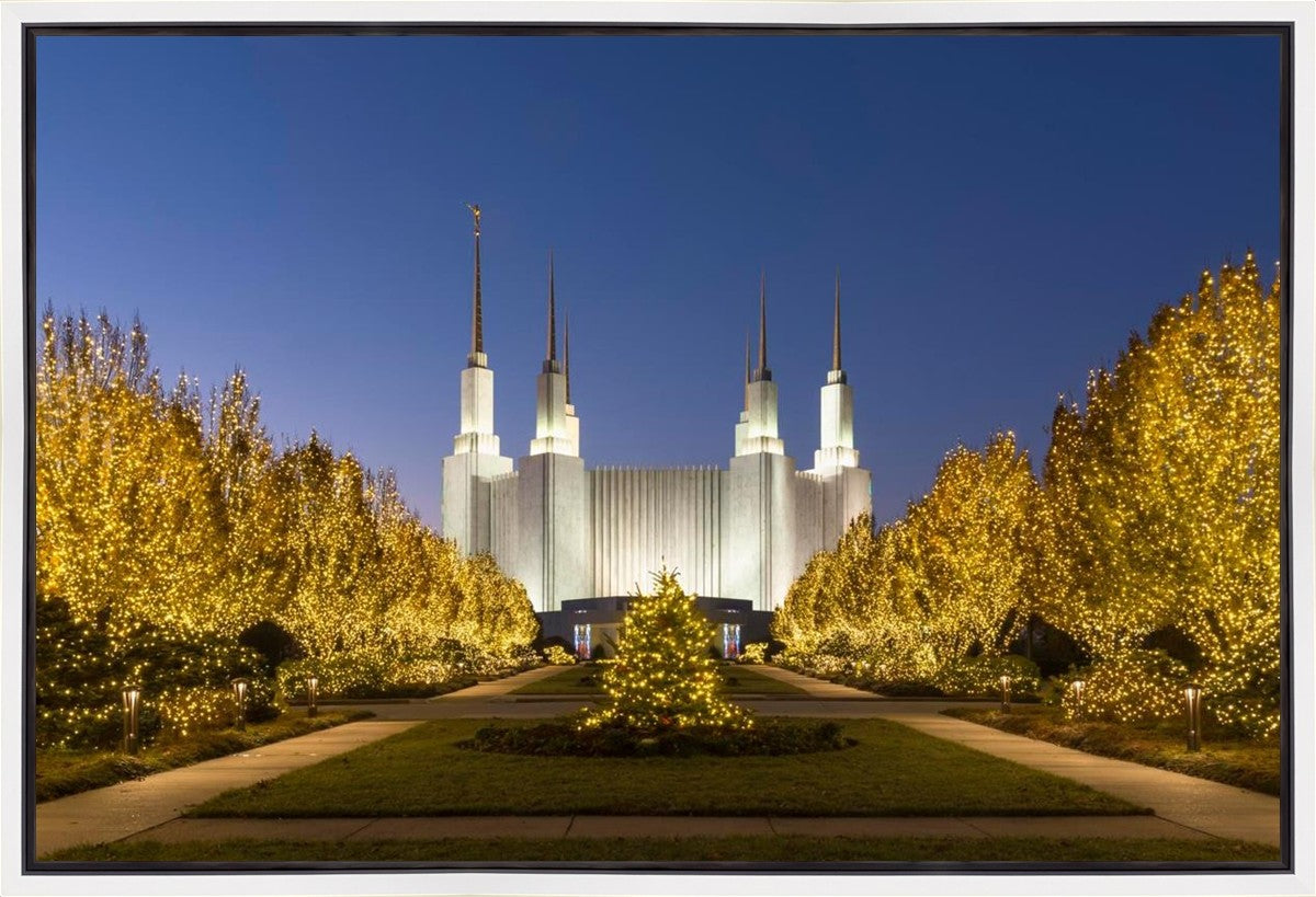 Washington DC Golden Christmas Gallery Wrap