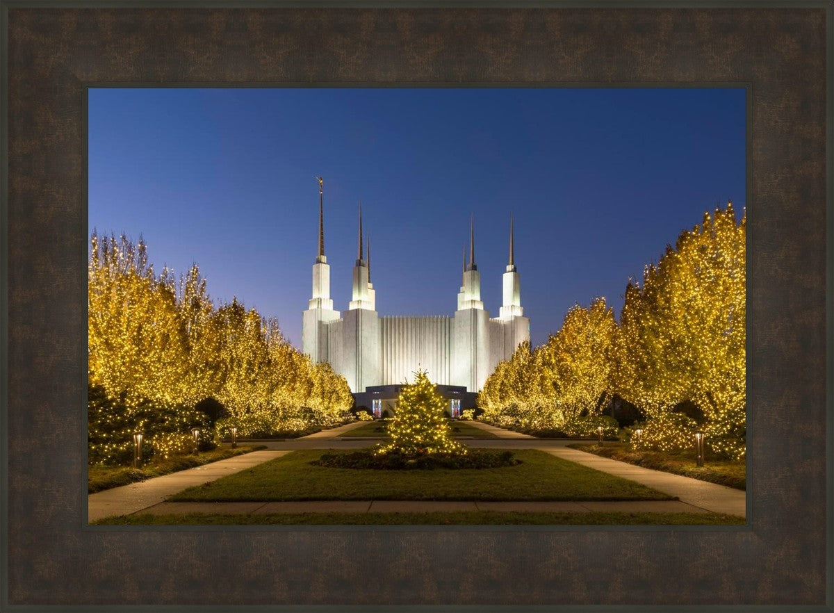 Washington DC Golden Christmas