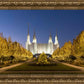 Washington DC Golden Christmas