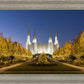 Washington DC Golden Christmas