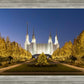 Washington DC Golden Christmas