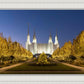 Washington DC Golden Christmas