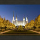 Washington DC Golden Christmas