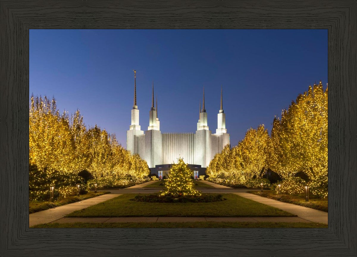 Washington DC Golden Christmas