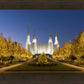 Washington DC Golden Christmas