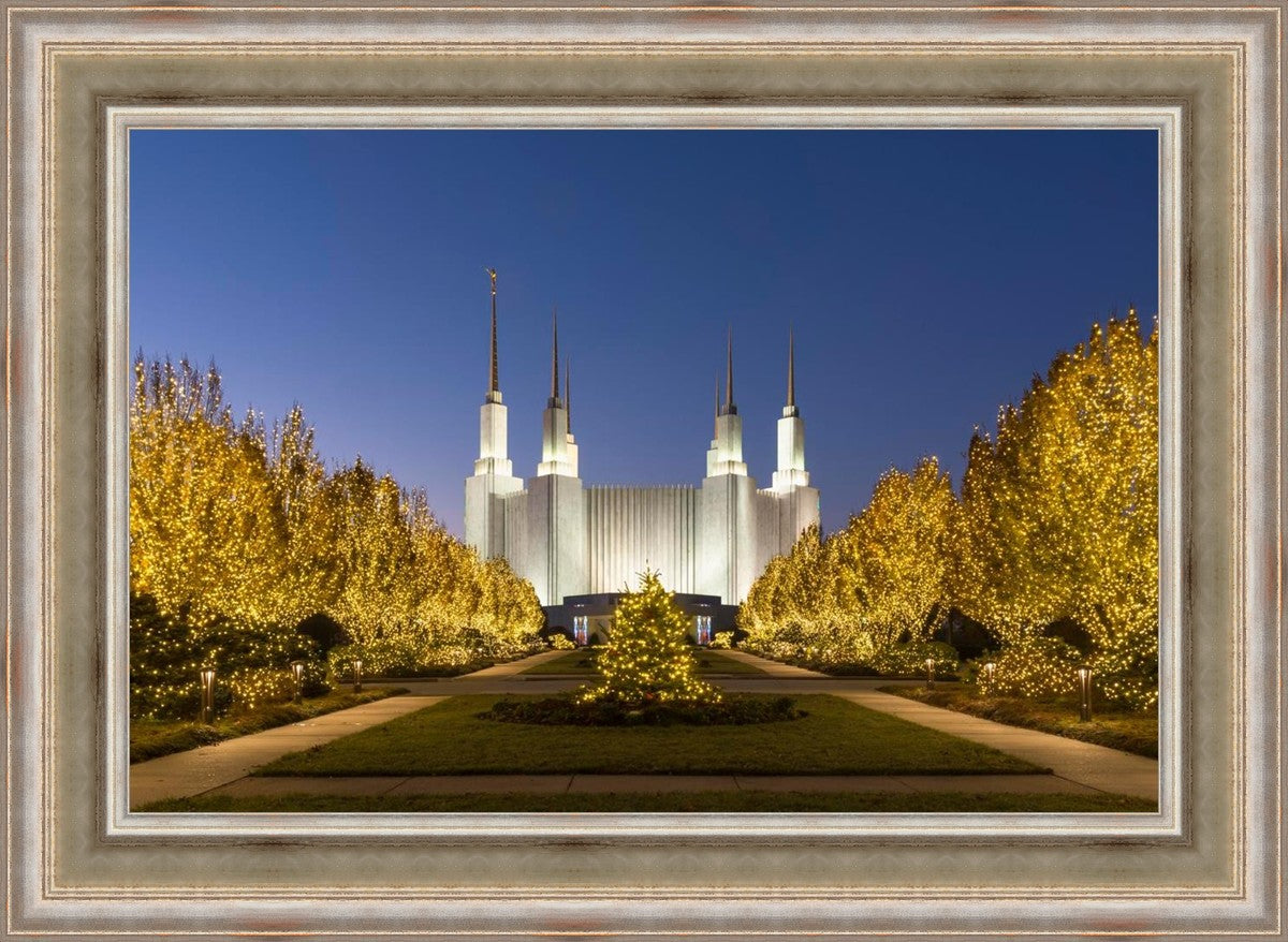 Washington DC Golden Christmas