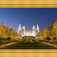 Washington DC Golden Christmas