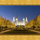 Washington DC Golden Christmas