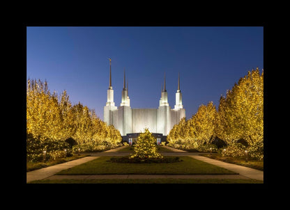 Washington DC Golden Christmas