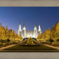 Washington DC Golden Christmas
