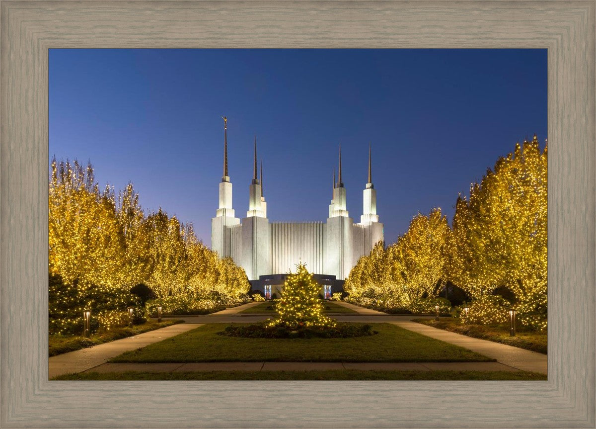 Washington DC Golden Christmas