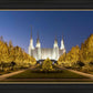 Washington DC Golden Christmas
