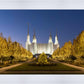 Washington DC Golden Christmas