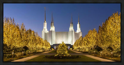 Washington DC Golden Christmas