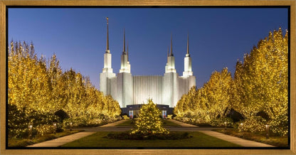 Washington DC Golden Christmas