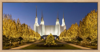 Washington DC Golden Christmas