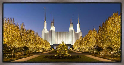 Washington DC Golden Christmas