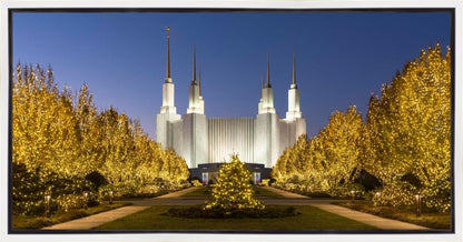 Washington DC Golden Christmas