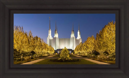 Washington DC Golden Christmas