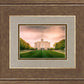 St. Louis Temple Brighter Days Ahead