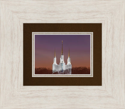 Washington DC Temple Evening Glow