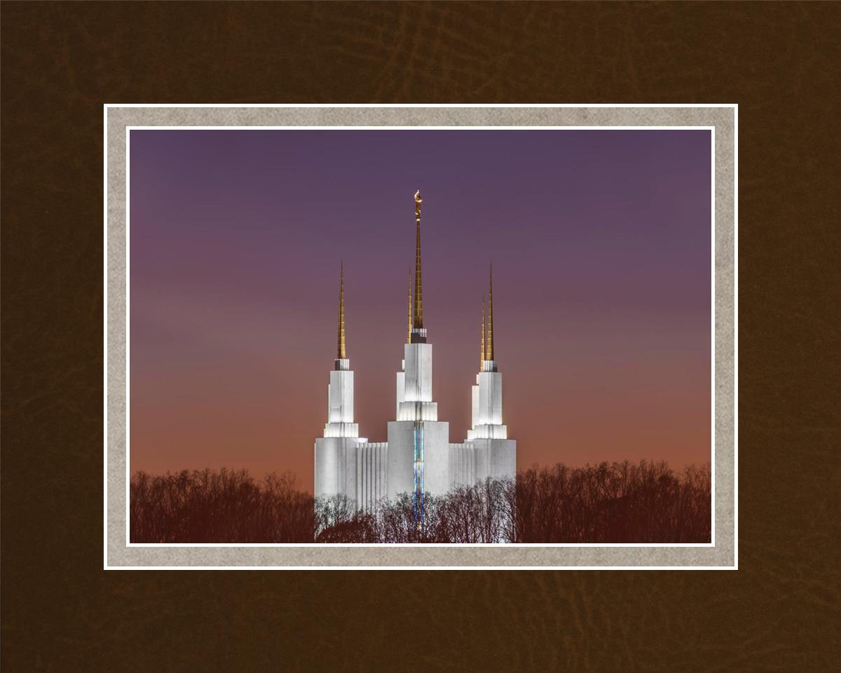 Washington DC Temple Evening Glow