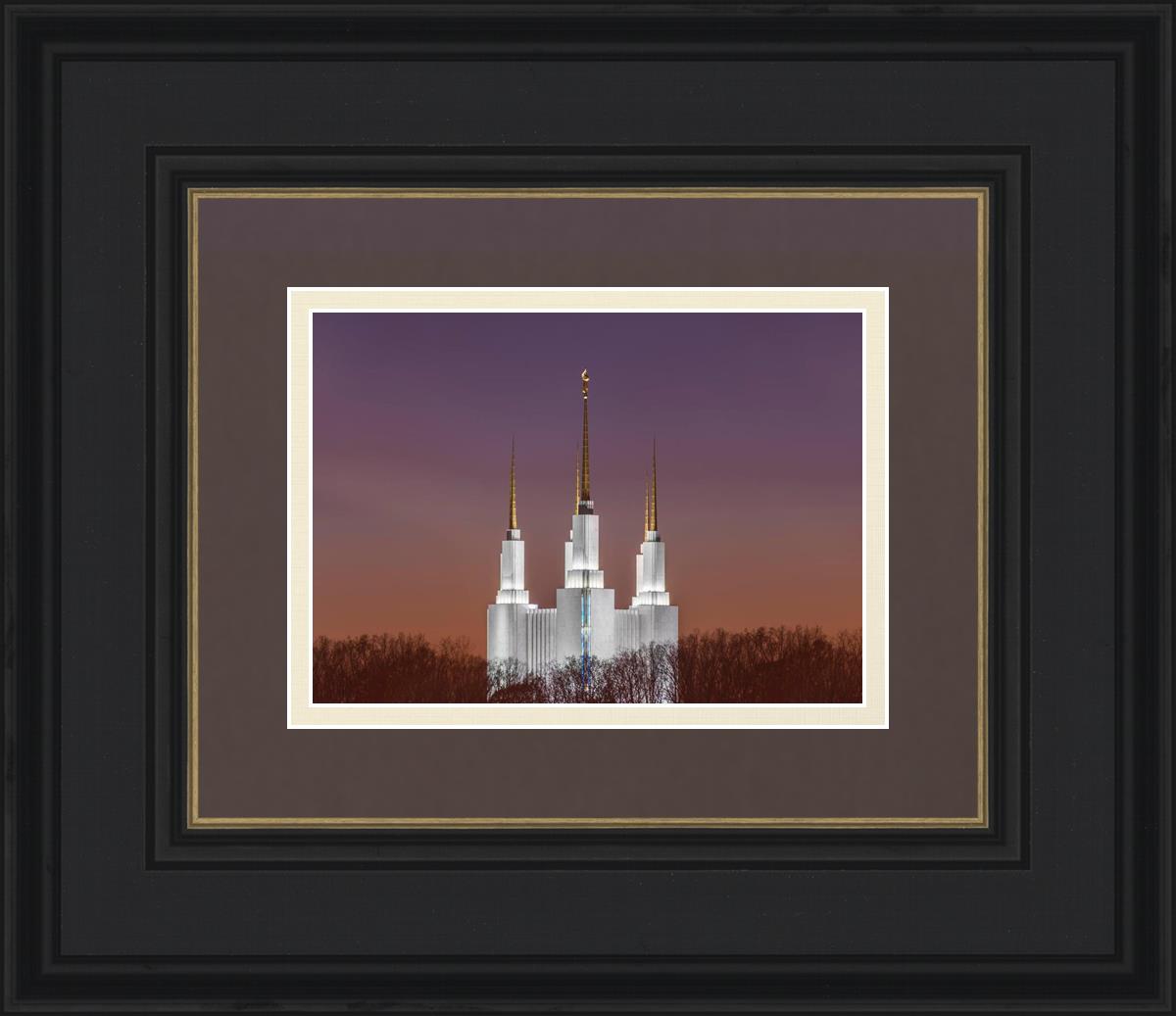Washington DC Temple Evening Glow