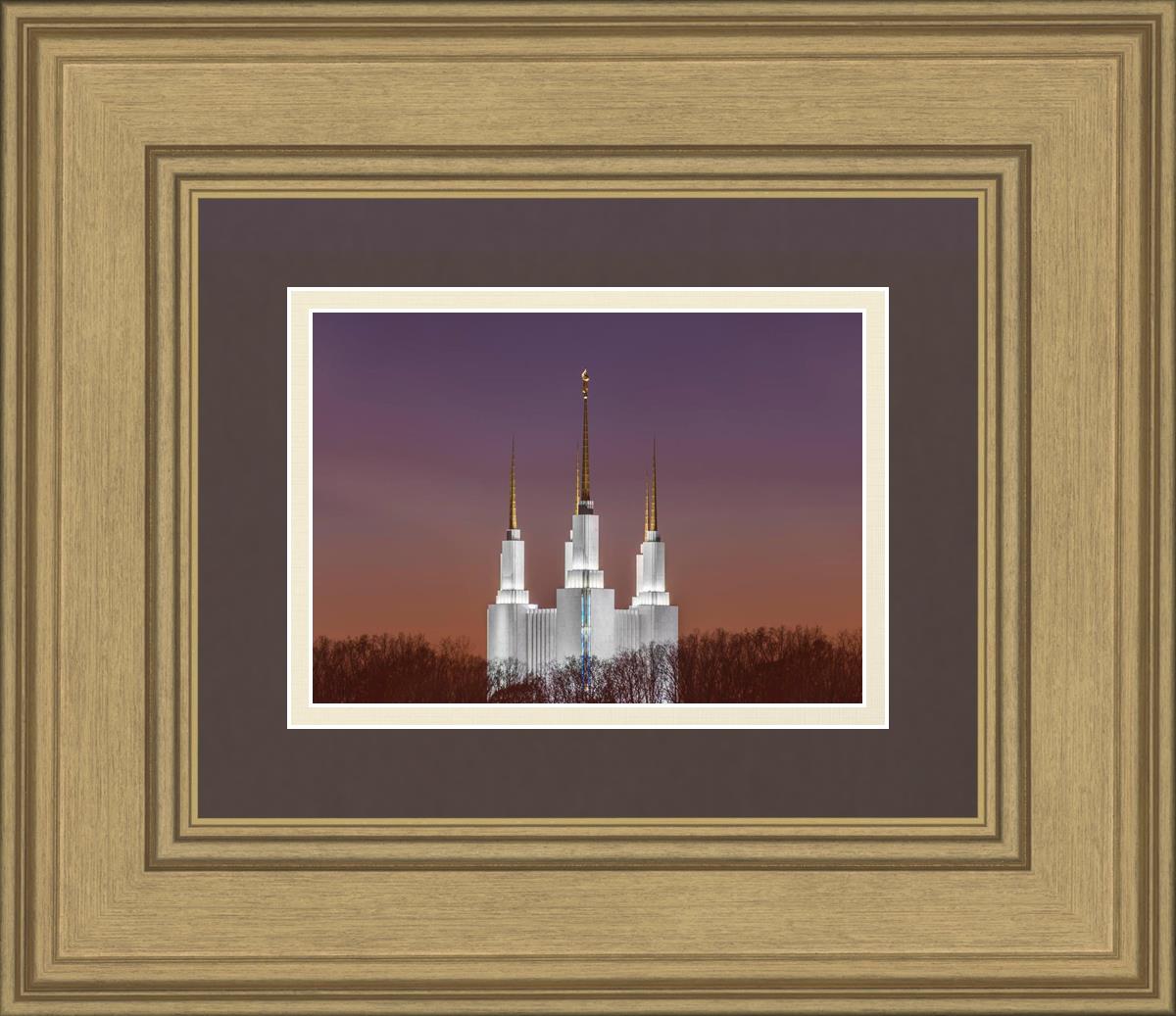Washington DC Temple Evening Glow