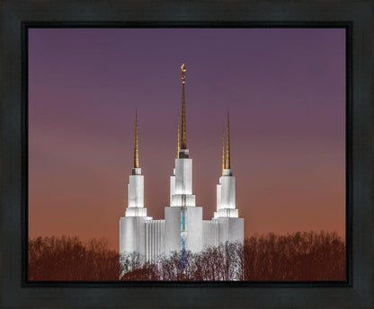 Washington DC Temple Evening Glow