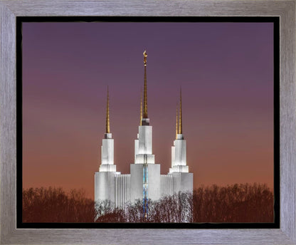 Washington DC Temple Evening Glow