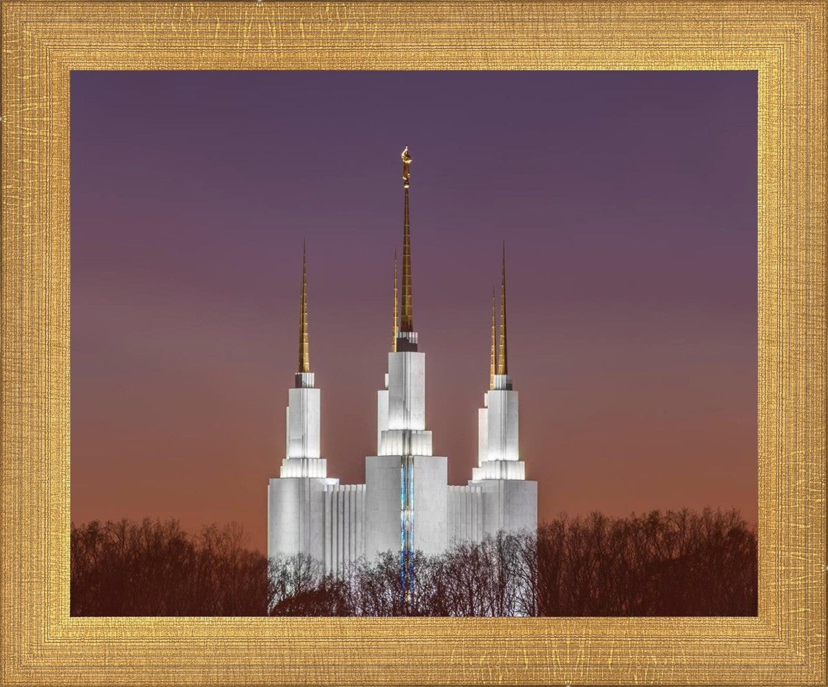 Washington DC Temple Evening Glow