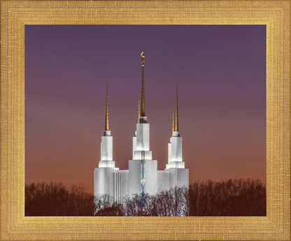 Washington DC Temple Evening Glow