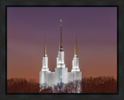 Washington DC Temple Evening Glow