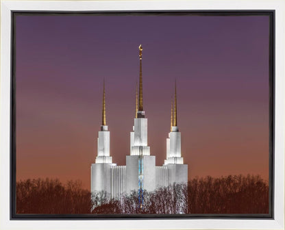 Washington DC Temple Evening Glow