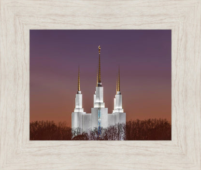 Washington DC Temple Evening Glow