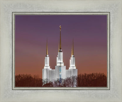 Washington DC Temple Evening Glow