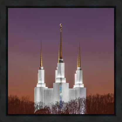 Washington DC Temple Evening Glow