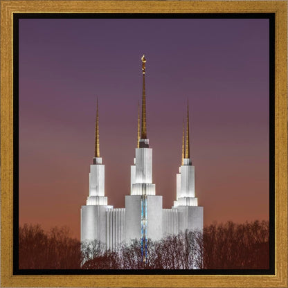 Washington DC Temple Evening Glow