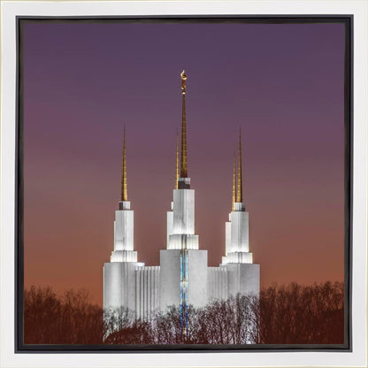 Washington DC Temple Evening Glow