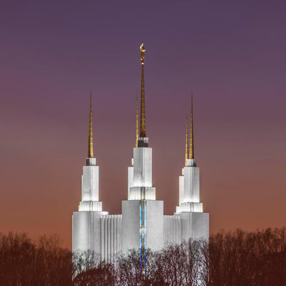 Washington DC Temple Evening Glow