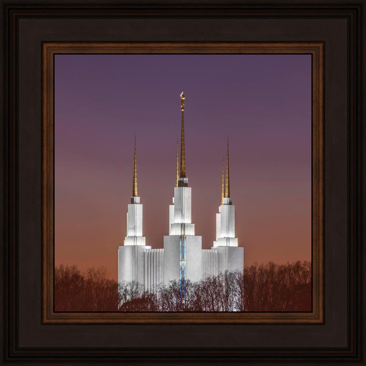 Washington DC Temple Evening Glow