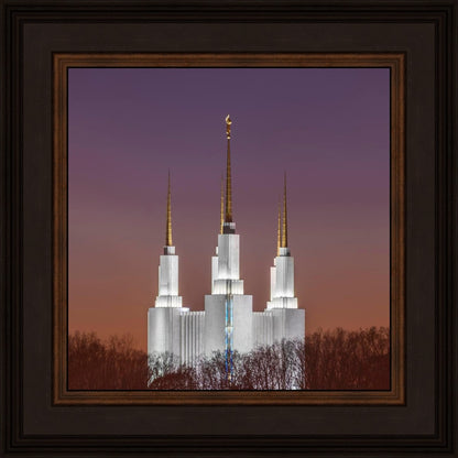 Washington DC Temple Evening Glow