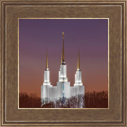 Washington DC Temple Evening Glow