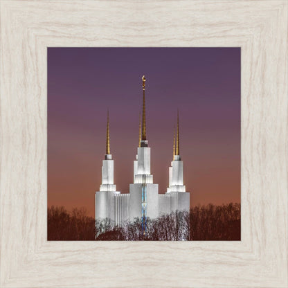 Washington DC Temple Evening Glow