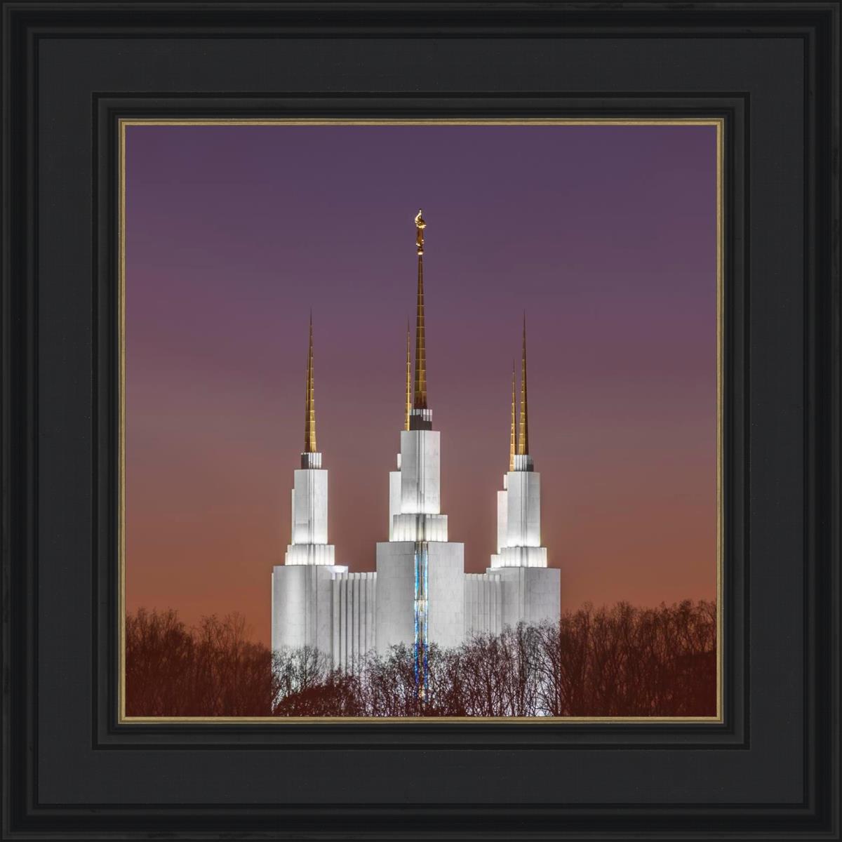 Washington DC Temple Evening Glow
