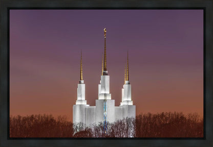 Washington DC Temple Evening Glow