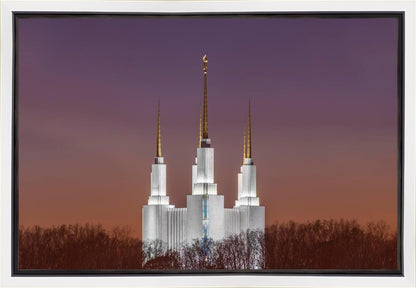 Washington DC Temple Evening Glow