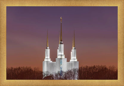 Washington DC Temple Evening Glow